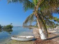 Playa Mahahual, estero y cocoteros, en la Costa Maya un paraiso, en fin...