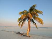 Playa Mahahual, un lugar paradísiaco en la Costa Maya