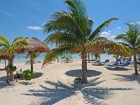 Playa Mahahual, cocoteros