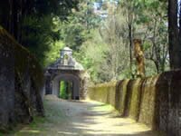 Parque Nacional Desierto de los Leones