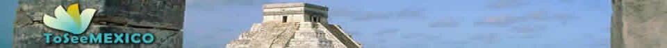 toseemexico.com
